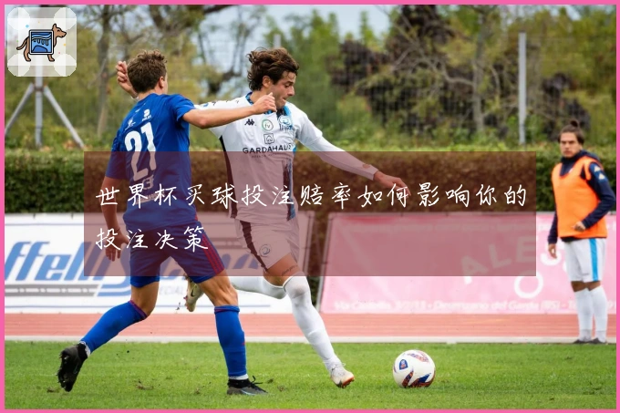 世界杯买球投注赔率如何影响你的投注决策