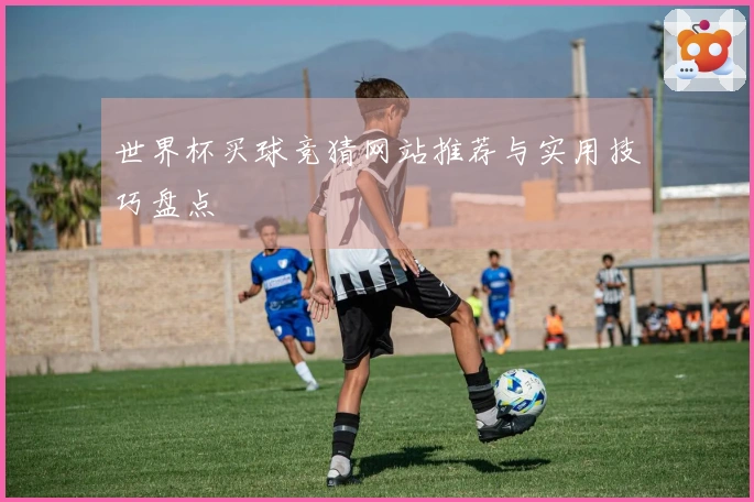 世界杯买球竞猜网站推荐与实用技巧盘点
