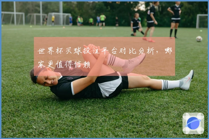 世界杯买球投注平台对比分析，哪家更值得信赖