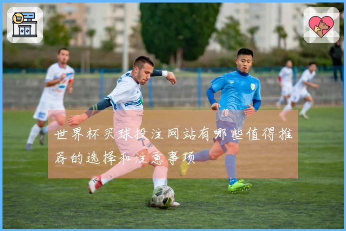 世界杯买球投注网站有哪些值得推荐的选择和注意事项