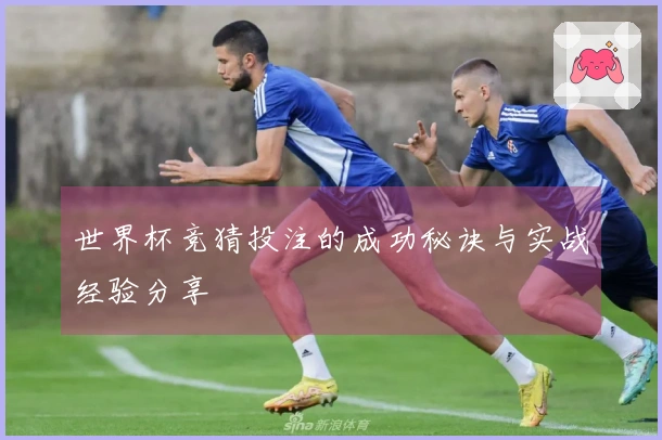 世界杯竞猜投注的成功秘诀与实战经验分享