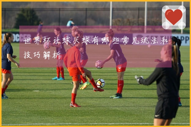 世界杯让球买球有哪些常见玩法和技巧解析