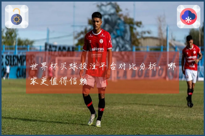 世界杯买球投注平台对比分析，哪家更值得信赖