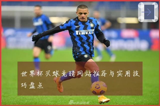 世界杯买球竞猜网站推荐与实用技巧盘点