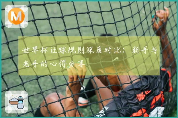 世界杯让球规则深度对比：新手与老手的心得分享