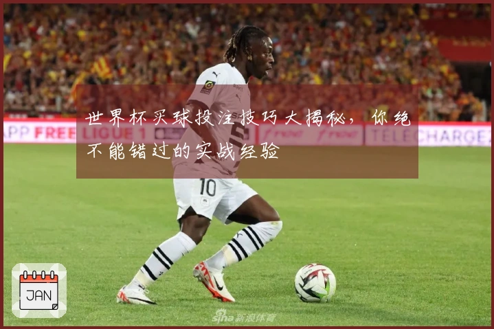 世界杯买球投注技巧大揭秘，你绝不能错过的实战经验